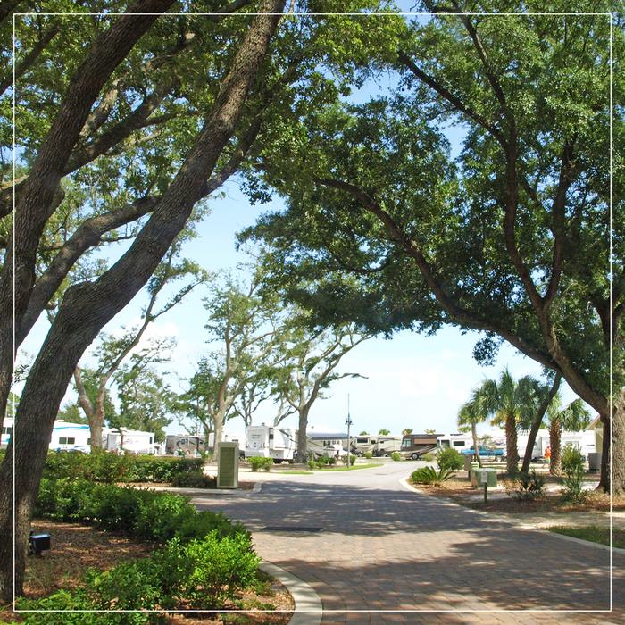 11716_802916123149540_2723607210072879930_n